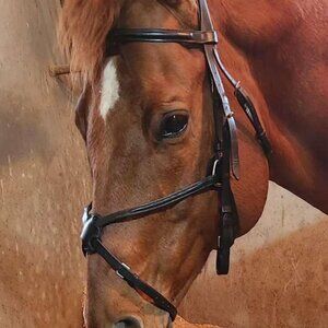 Vespucci Black Raised Fancy Stitch Figure 8 Bridle
